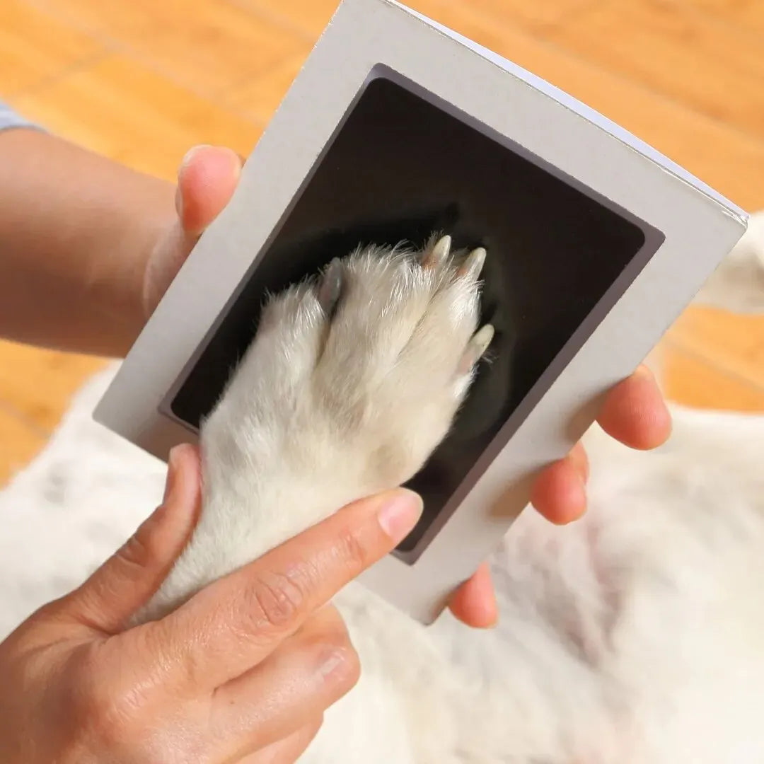 Paw Print Clean Touch Ink Pad Dog Or Cat Pet Owner Keepsake DIY Inkless Nose and Pawprint Impression Making Kit