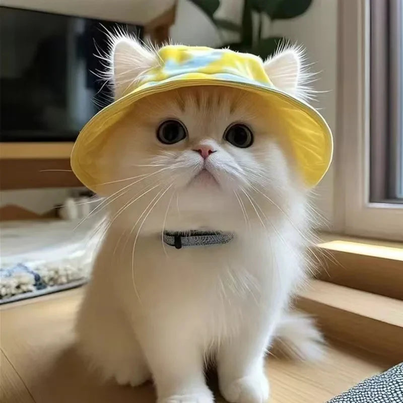 Summer Pet Cat Sun with Ear Holes Cute Kitten Fisherman Cap UV Protection Breathable Outdoor Sunshade Hat