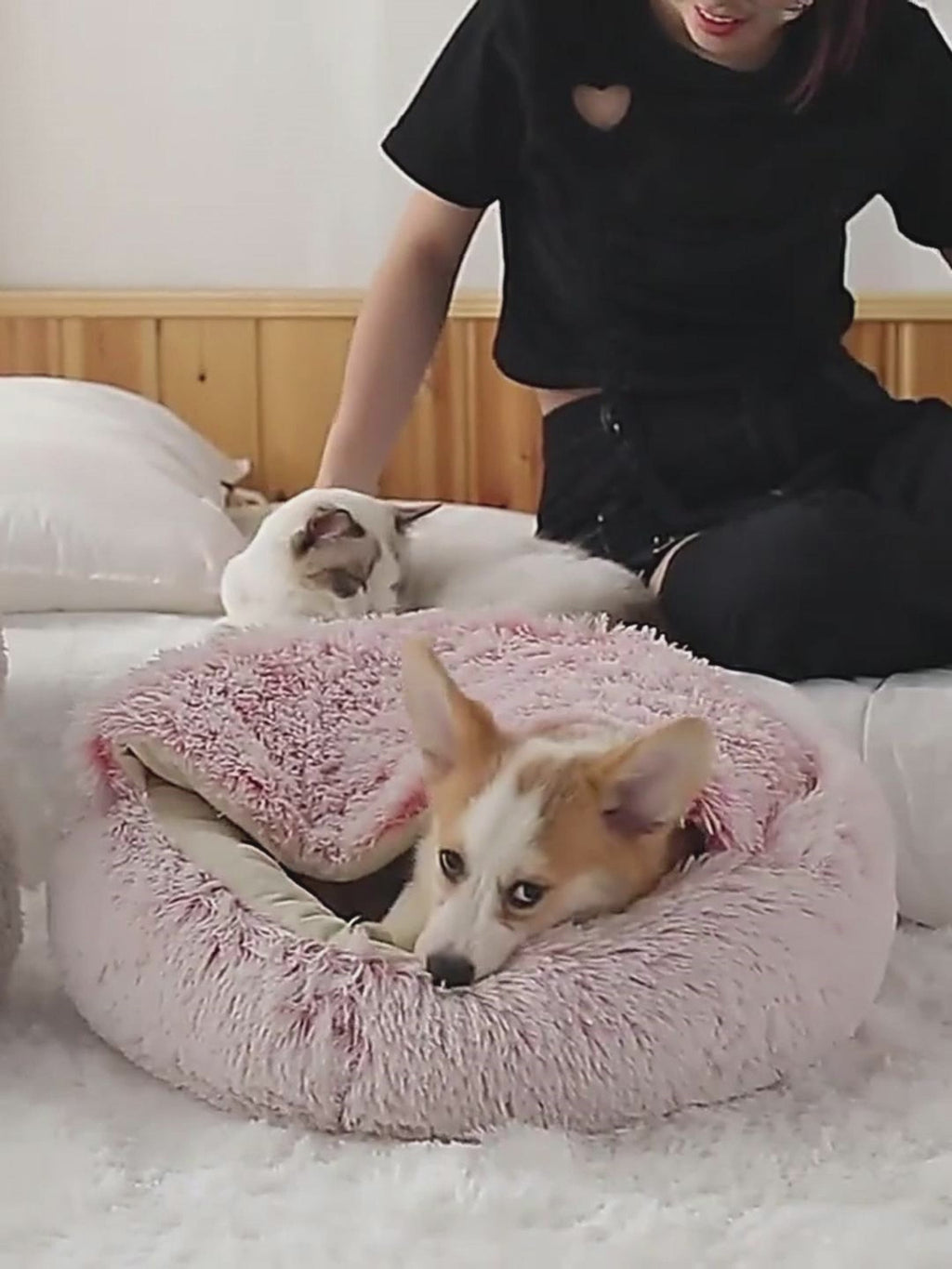 2 In 1 Dog And Pet Winter Autumn Round Plush Warm Soft Pet Bed
