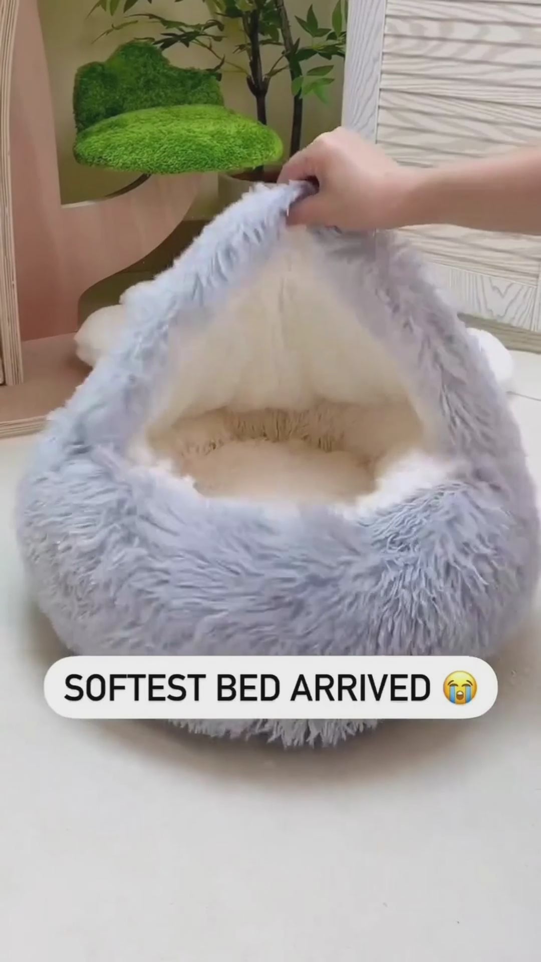 2 In 1 Dog And Pet Winter Autumn Round Plush Warm Soft Pet Bed