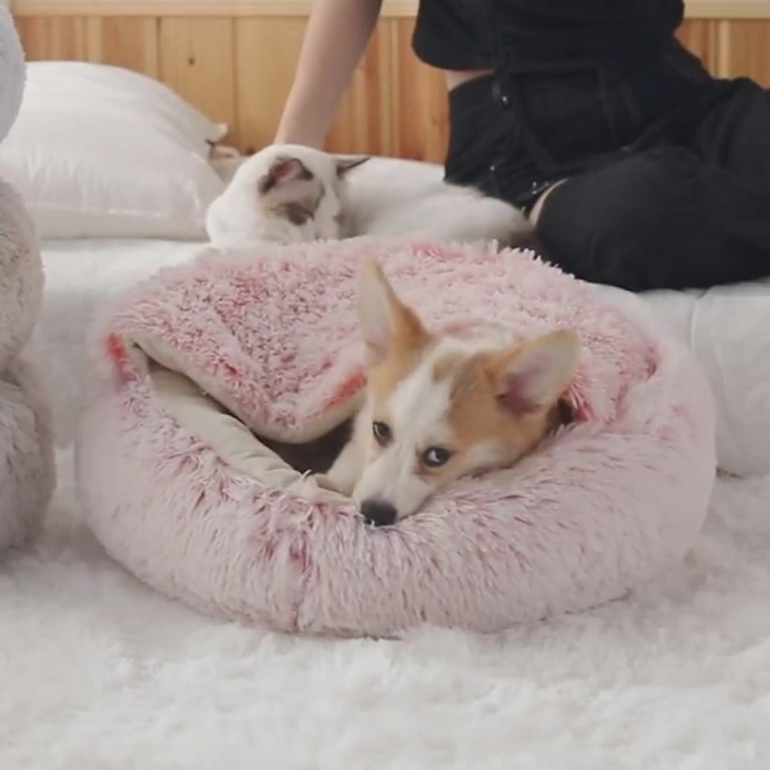 2 In 1 Dog And Pet Winter Autumn Round Plush Warm Soft Pet Bed