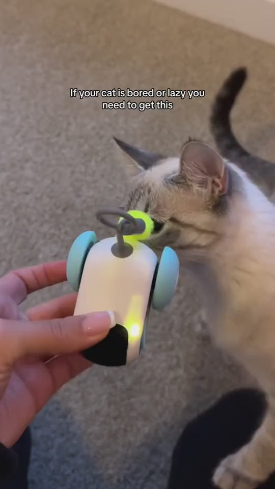 Remote Control Interactive Cat Car Toy USB Charging Chasing Automatic Self-moving Remote Smart Control Car Interactive Cat Toy Pet Products