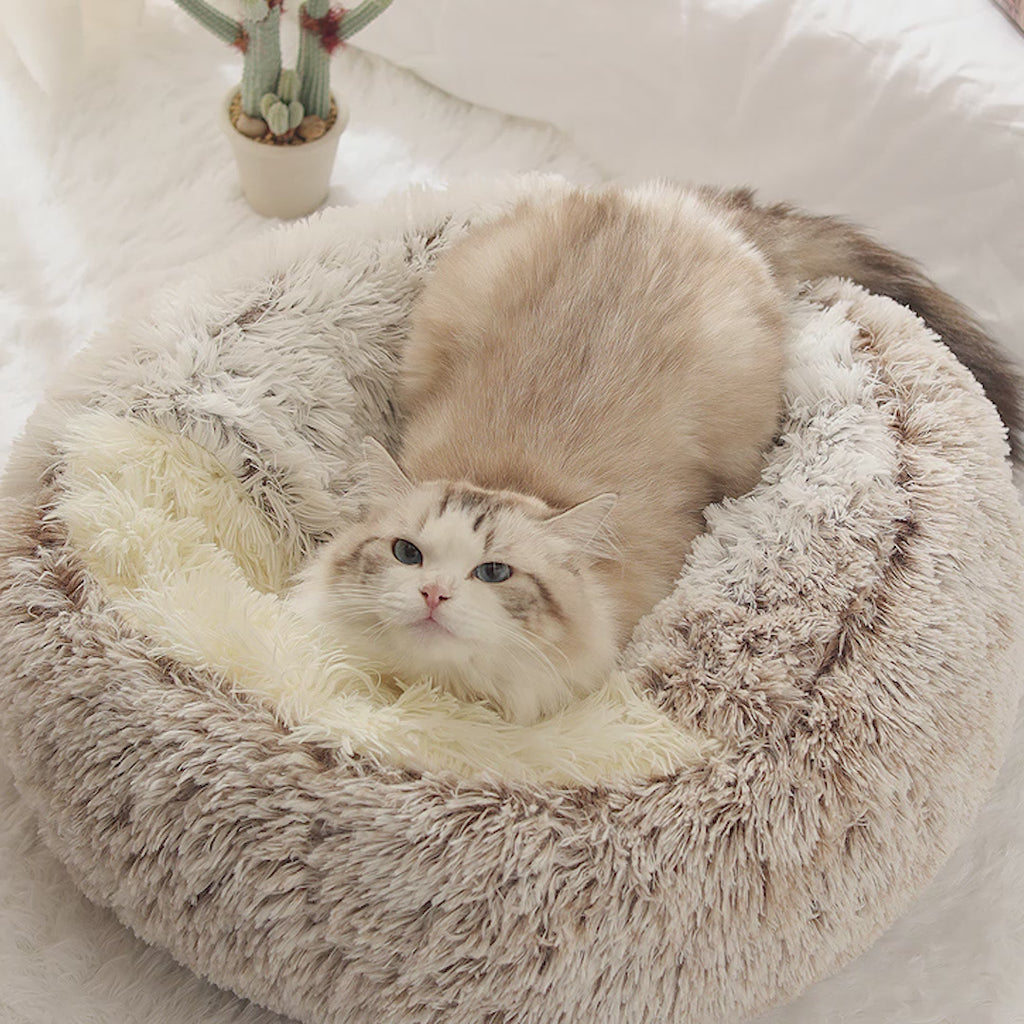 2 In 1 Dog And Pet Winter Autumn Round Plush Warm Soft Pet Bed