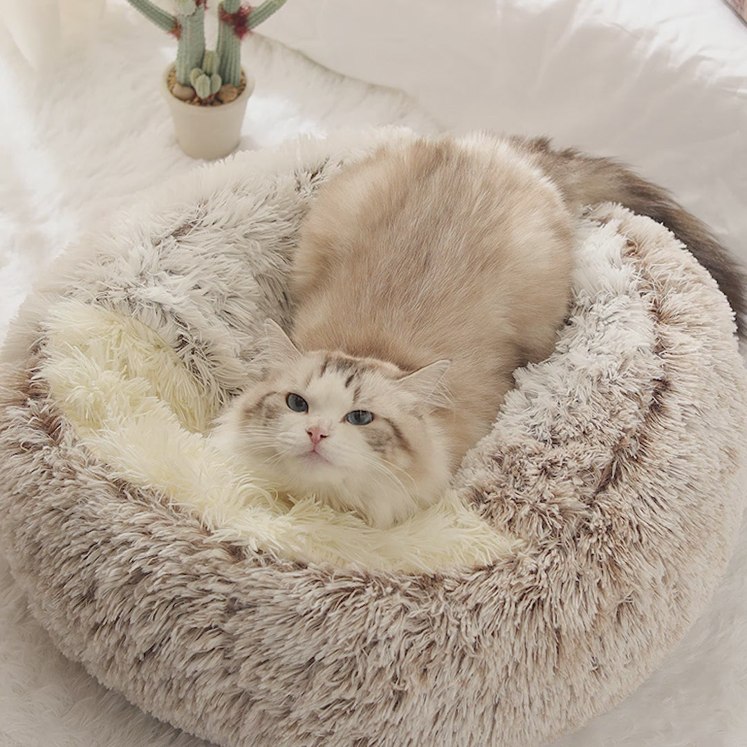 2 In 1 Dog And Pet Winter Autumn Round Plush Warm Soft Pet Bed