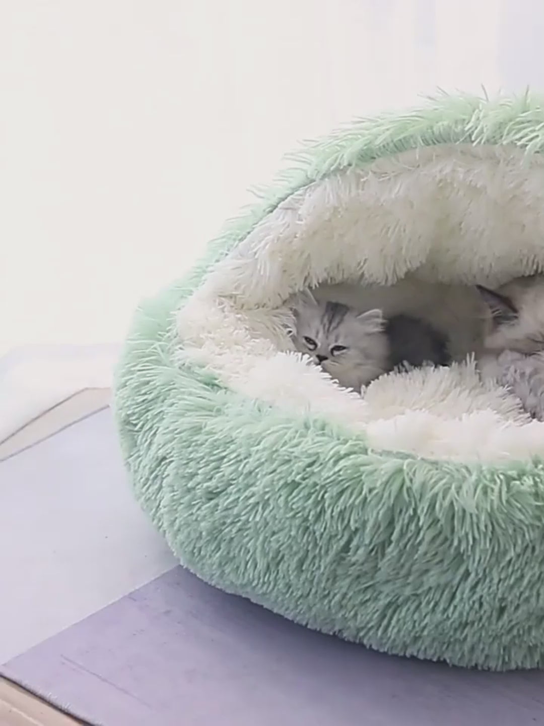 2 In 1 Dog And Pet Winter Autumn Round Plush Warm Soft Pet Bed
